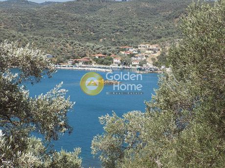 Αγροτεμάχια 17.000τ.μ. για πώληση-Λέσβος - πλωμάρι » Νεοχώρι