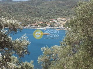 Αγροτεμάχια 17.000 τ.μ. για πώληση