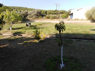 Διαμέρισμα 67 τ.μ. προς πώληση, Ροβιές-thumb-3