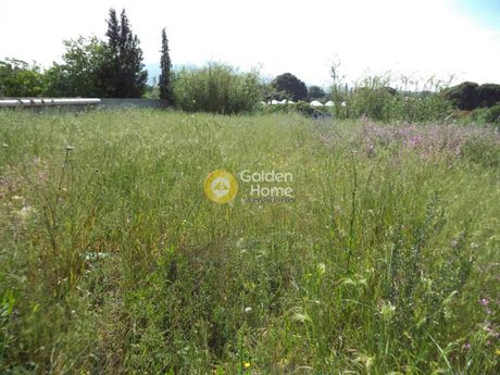 Οικόπεδο 1.636τ.μ. για πώληση-Αχαρνές » Βαρυμπόμπη