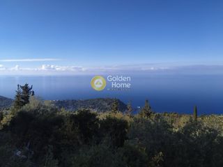Αγροτεμάχια 13.000 τ.μ. για πώληση