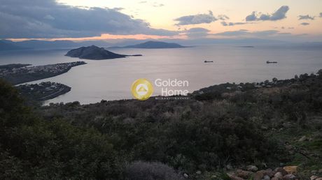 Οικόπεδο 1.009τ.μ. για πώληση-Αίγινα » Λιβάδι