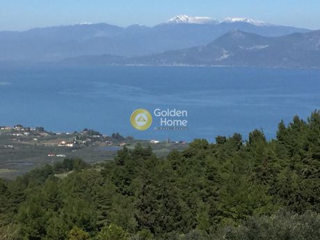 Μεζονέτα 290τ.μ. για πώληση-Δαφνούσες » Κέντρο