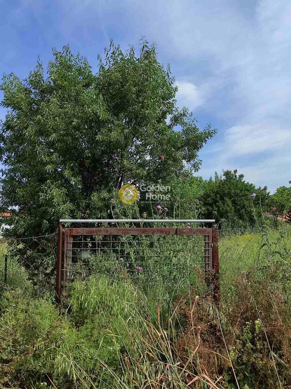 Οικόπεδο 537 τ.μ. προς πώληση, Λάκκωμα Καλλικράτειας