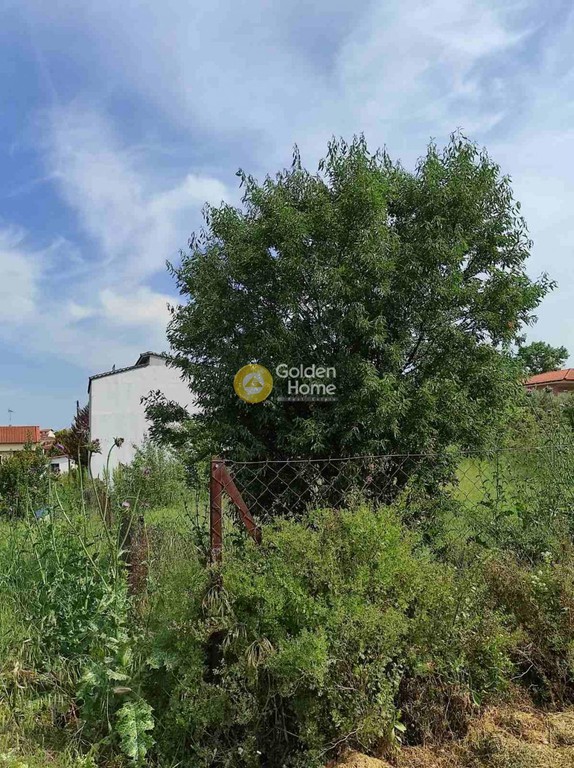 Οικόπεδο 537 τ.μ. προς πώληση, Λάκκωμα Καλλικράτειας
