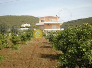 Μονοκατοικία 320 τ.μ. για πώληση, Αργολίδα, Ναύπλιο-thumb-8