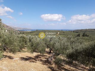 Οικόπεδο 7.700 τ.μ. για πώληση