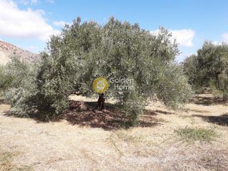 Οικόπεδο 7.700 τ.μ. για πώληση, Ν. Χανίων, Σούδα-thumb-4