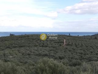Οικόπεδο 7.700 τ.μ. για πώληση, Ν. Χανίων, Σούδα-thumb-7