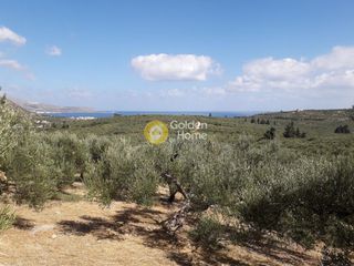 Οικόπεδο 7.700 τ.μ. για πώληση, Ν. Χανίων, Σούδα-thumb-2