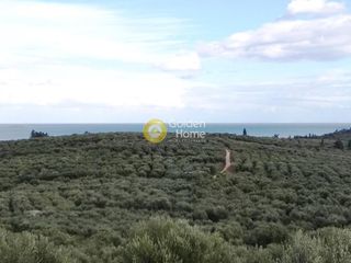 Οικόπεδο 7.700 τ.μ. για πώληση, Ν. Χανίων, Σούδα-thumb-1