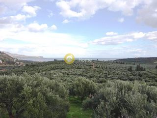 Οικόπεδο 7.700 τ.μ. για πώληση, Ν. Χανίων, Σούδα-thumb-6