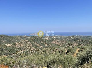 Οικόπεδο 54.761 τ.μ. για πώληση