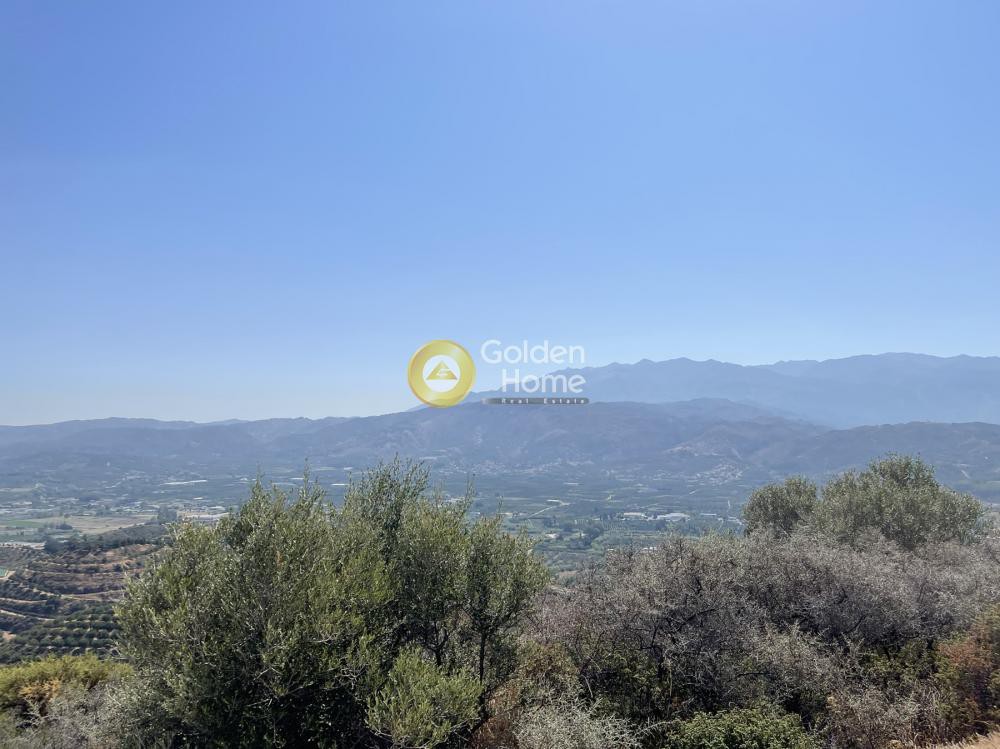 Οικόπεδο 54.761 τ.μ. προς πώληση, Σταλός