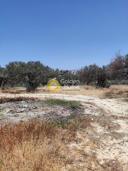 Αγροτεμάχια 4.385τ.μ. για πώληση-Αρχάνες » Αμπελά
