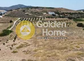 Αγροτεμάχια 14.000τ.μ. για πώληση-Αντίπαρος » Κάμπος