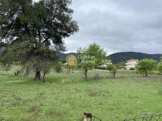 Αγροτεμάχια 12.312 τ.μ. για πώληση