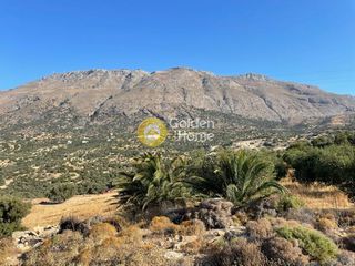 Αγροτεμάχια 9.357 τ.μ. για πώληση, Ν. Ρεθύμνου, Λάμπη-thumb-2