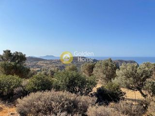 Αγροτεμάχια 9.357 τ.μ. για πώληση, Ν. Ρεθύμνου, Λάμπη-thumb-4