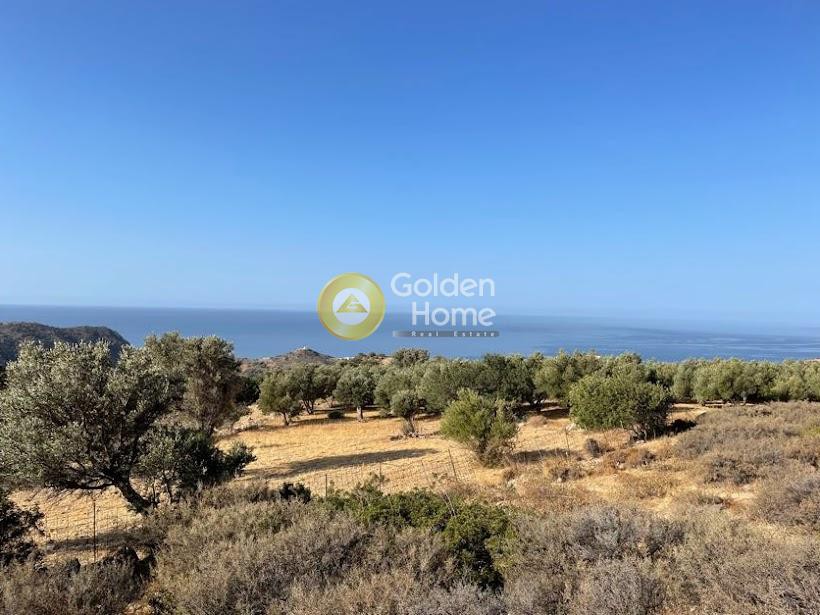 Αγροτεμάχια 9.357 τ.μ. για πώληση, Ν. Ρεθύμνου, Λάμπη
