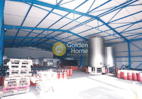 Business bulding 800 sqm for sale