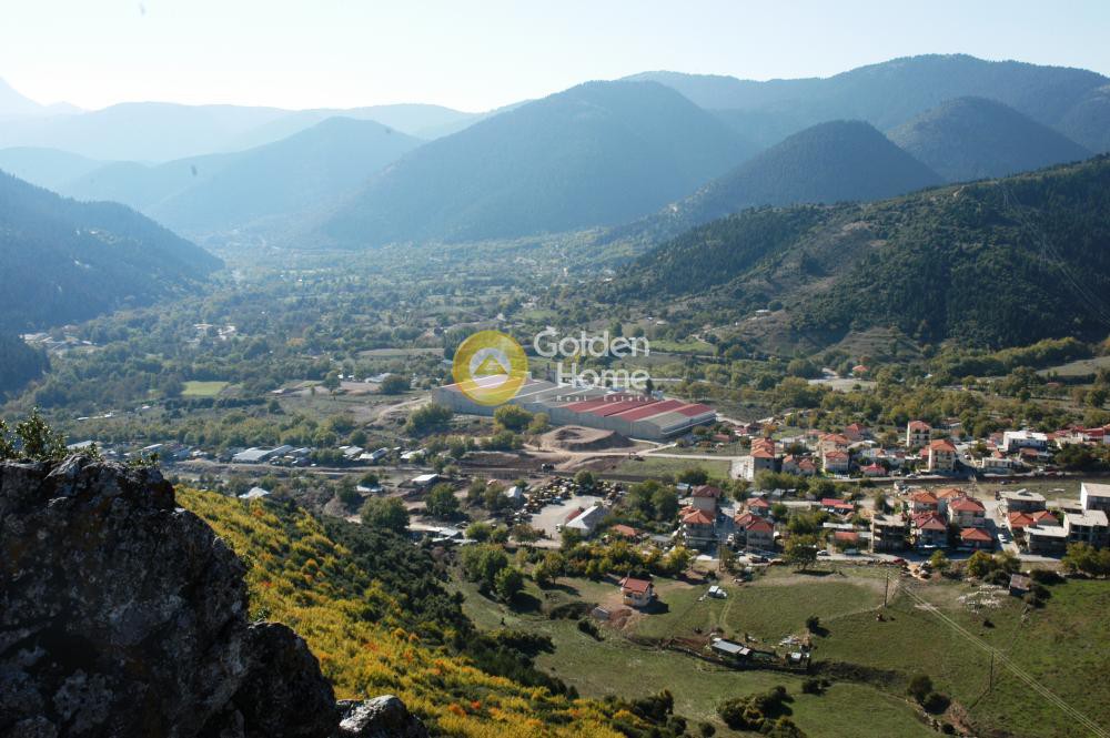 Βιομηχανικός χώρος 19.590 τ.μ. πρός πώληση, Ευρυτανία, Καρπενήσι