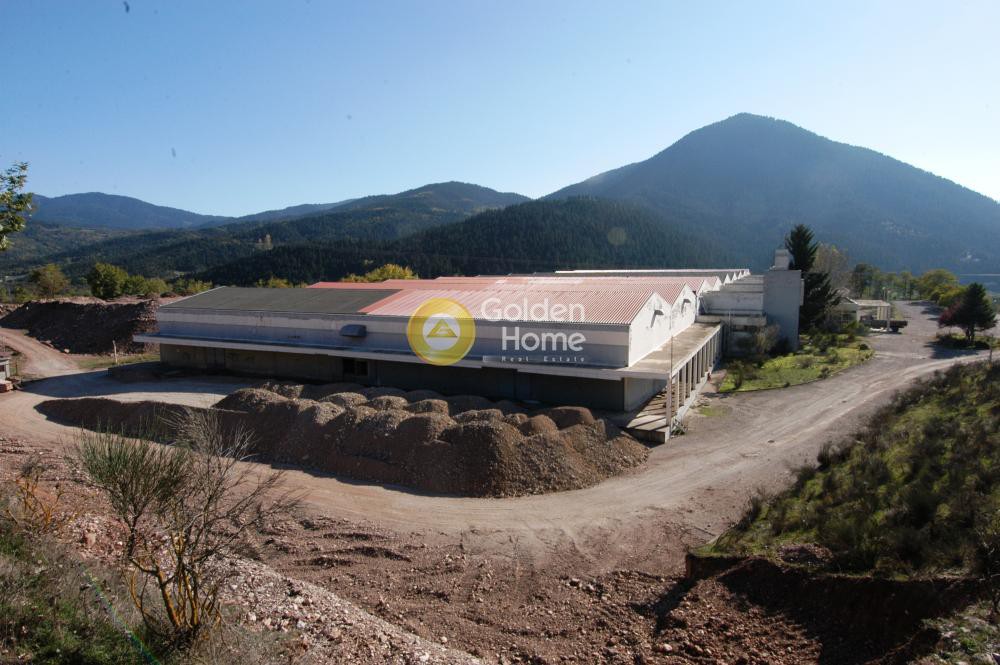 Βιομηχανικός χώρος 19.590 τ.μ. πρός πώληση, Ευρυτανία, Καρπενήσι