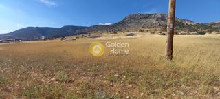 Οικόπεδο 13.000 τ.μ. για πώληση