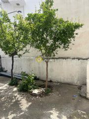 Επιχειρηματικό κτίριο 305 τ.μ. για πώληση