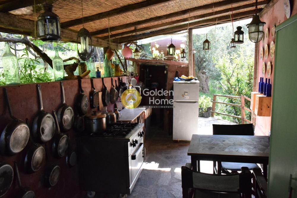 Οικόπεδο 48.479 τ.μ. πρός πώληση, Μαγνησία, Μηλιές