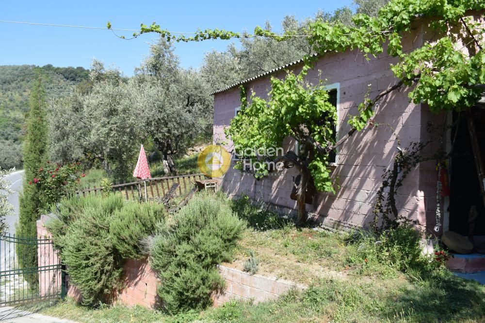 Οικόπεδο 48.479 τ.μ. πρός πώληση, Μαγνησία, Μηλιές