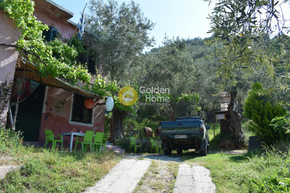 Οικόπεδο 48.479 τ.μ. πρός πώληση, Μαγνησία, Μηλιές