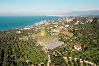 Αγροτεμάχια 12.000 τ.μ. για πώληση
