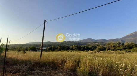 Αγροτεμάχια 6.000τ.μ. για πώληση-Λιβαδειά » Τζιμαίικα