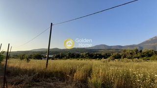 Αγροτεμάχια 6.000 τ.μ. για πώληση