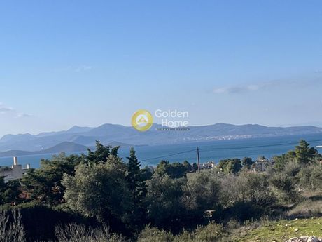 Οικόπεδο 1.150τ.μ. για πώληση-Μαλεσίνα » Θεολόγος