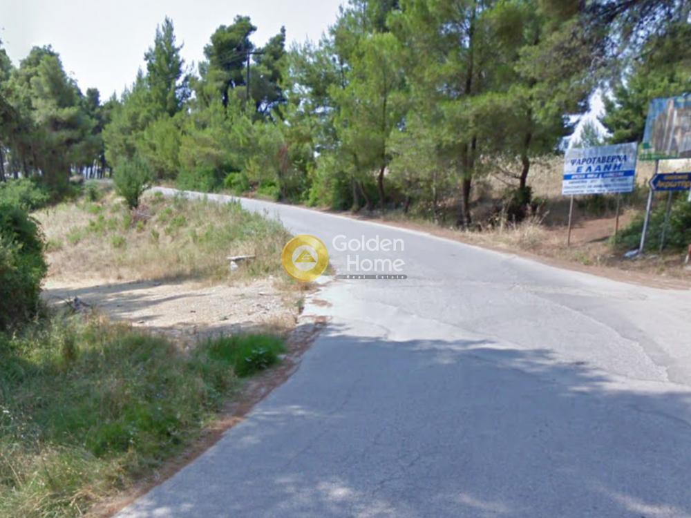 Οικόπεδο 700 τ.μ. προς πώληση, Ελάνη