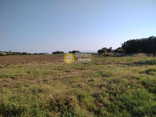 Αγροτεμάχια 4.000 τ.μ. για πώληση