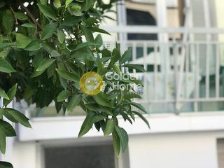 Οικόπεδο 223 τ.μ. για πώληση