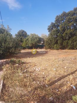 Οικόπεδο 293τ.μ. για πώληση-Χαλάνδρι » Έθνος