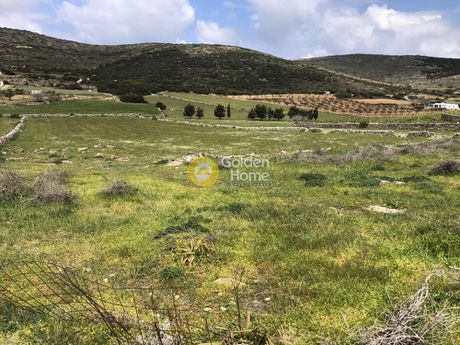 Αγροτεμάχια 7.117τ.μ. για πώληση-Πάρος » Μαράθι