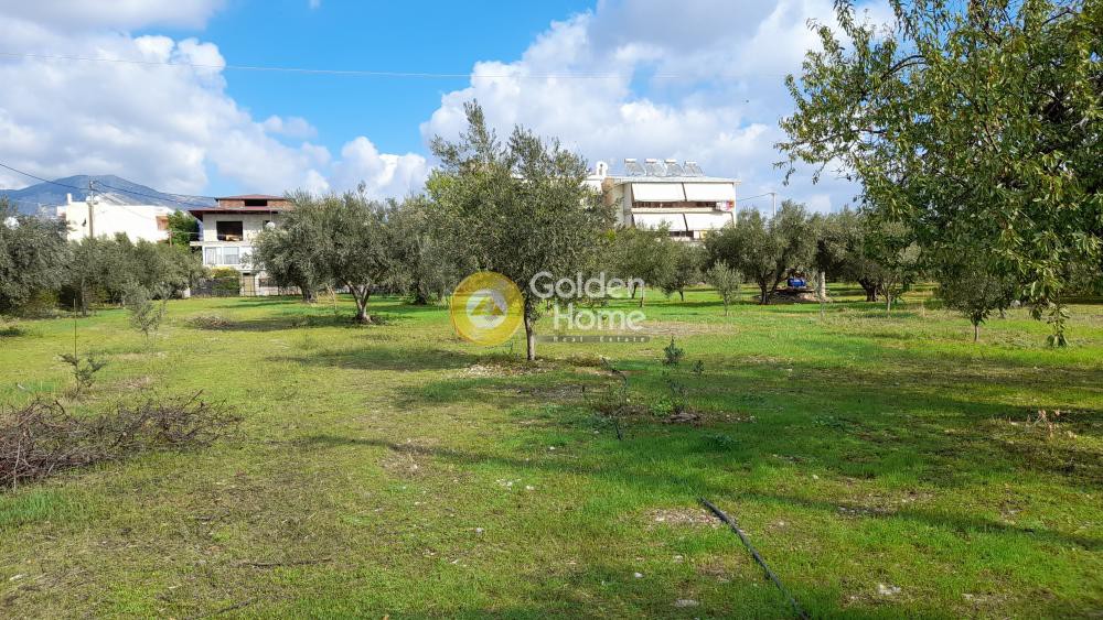 Μονοκατοικία 75 τ.μ. προς πώληση, Αγριλέζα
