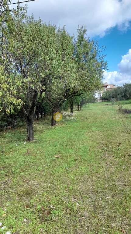 Μονοκατοικία 75 τ.μ. προς πώληση, Αγριλέζα