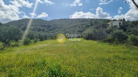 Αγροτεμάχια 1.220τ.μ. για πώληση-Ωρωπός » Κάμπος ωρωπού