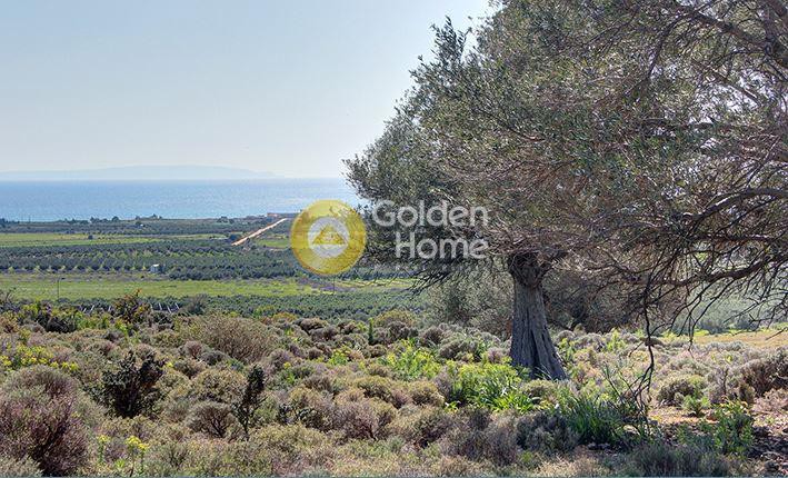Οικόπεδο 4.819 τ.μ. προς πώληση, Καψοδάσος