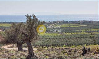 Οικόπεδο 4.819 τ.μ. προς πώληση, Καψοδάσος-thumb-5