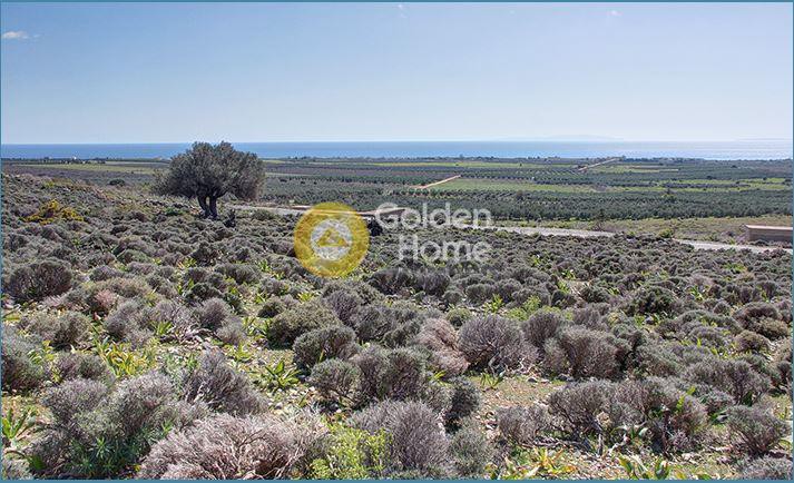 Οικόπεδο 4.819 τ.μ. προς πώληση, Καψοδάσος