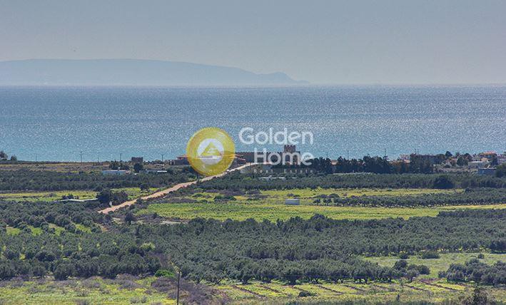 Οικόπεδο 4.819 τ.μ. προς πώληση, Καψοδάσος