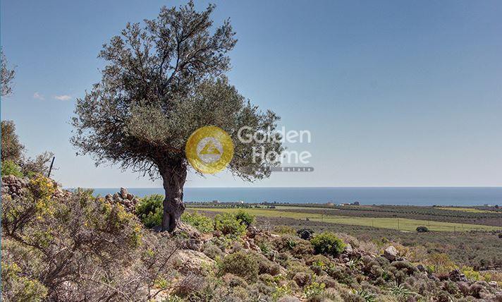 Οικόπεδο 4.819 τ.μ. προς πώληση, Καψοδάσος