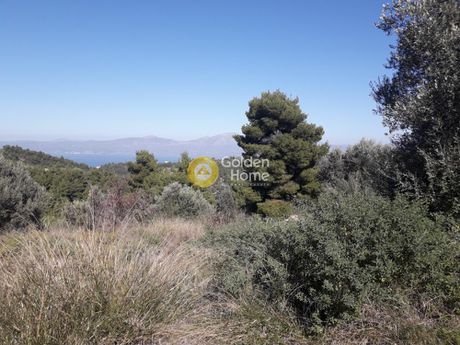 Οικόπεδο 2.422τ.μ. για πώληση-Ωρωπός » Μαρκόπουλο